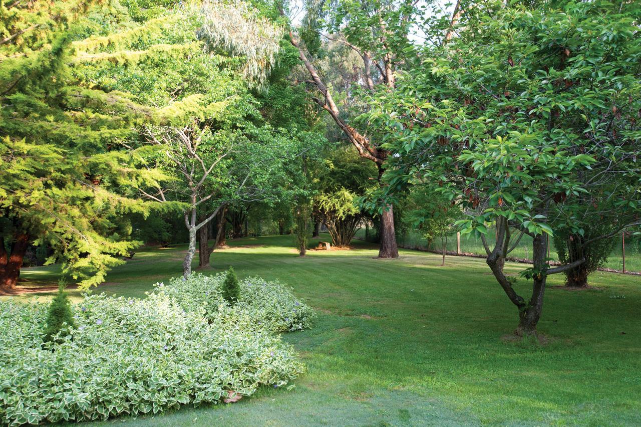Clifton Gardens Bed & Breakfast - Orange Exterior photo